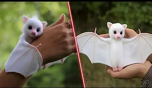 Discovering the World’s Most Unique and Adorable Animals - image 4