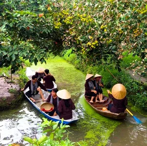 Mekong Delta Travel Guide: Choosing the Best Floating Season Tour - image 4