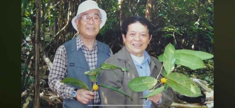 Professor Tran Ninh: Unlocking the Secrets of Moss and Reviving Golden Camellia