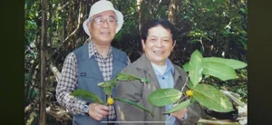 Professor Tran Ninh: Unlocking the Secrets of Moss and Reviving Golden Camellia - image 0