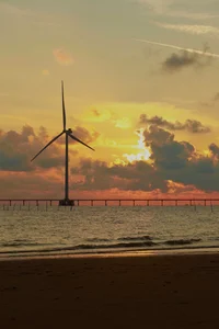 Ba Dong Beach: The Ultimate Instagram-Worthy Coastal Escape - image 0