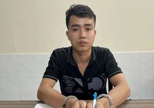 The Lunar New Year Eve Disappearance: A True Crime Case - image 8