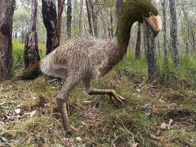 Shocking Revelations: The Prehistoric Bird with the Most Terrifying Beak Ever
