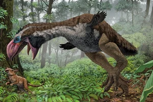 Shocking Revelations: The Prehistoric Bird with the Most Terrifying Beak Ever - image 6