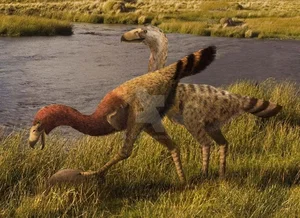 Shocking Revelations: The Prehistoric Bird with the Most Terrifying Beak Ever - image 2