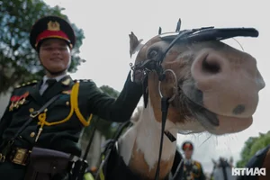 Cavalry Unit Performs First Joint Parade Training for April 30th in Ho Chi Minh City - image 13