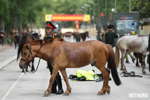 Cavalry Unit Performs First Joint Parade Training for April 30th in Ho Chi Minh City - image 10