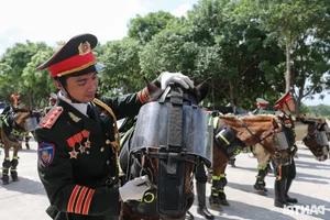 Cavalry Unit Performs First Joint Parade Training for April 30th in Ho Chi Minh City - image 6