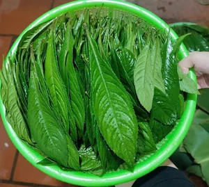 From Wild Weed to Gourmet Specialty: The Rise of Unique Local Produce - image 1