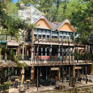 Inside Phan Nhu Thao Wooden Villa in the Pine Forest of Da Lat - image 7