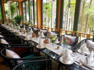 Inside Phan Nhu Thao Wooden Villa in the Pine Forest of Da Lat - image 1