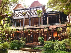 Inside Phan Nhu Thao Wooden Villa in the Pine Forest of Da Lat - image 4