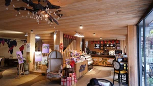 Inside Phan Nhu Thao Wooden Villa in the Pine Forest of Da Lat - image 8
