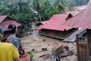 Mountainous Communities in Nghe An Struggle Against Severe Flooding - image 4