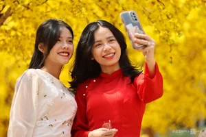 Ho Chi Minh City's Vibrant Apricot Blossom Garden: A Tet Tradition - image 9