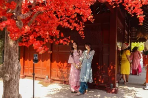Ho Chi Minh City's Vibrant Apricot Blossom Garden: A Tet Tradition - image 2