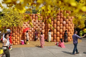 Ho Chi Minh City's Vibrant Apricot Blossom Garden: A Tet Tradition - image 7