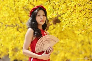 Ho Chi Minh City's Vibrant Apricot Blossom Garden: A Tet Tradition - image 0