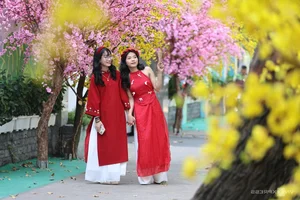Ho Chi Minh City's Vibrant Apricot Blossom Garden: A Tet Tradition - image 4