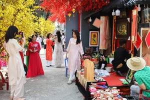 Ho Chi Minh City's Vibrant Apricot Blossom Garden: A Tet Tradition - image 6