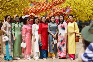 Ho Chi Minh City's Vibrant Apricot Blossom Garden: A Tet Tradition - image 5
