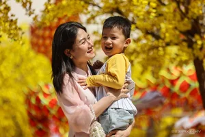 Ho Chi Minh City's Vibrant Apricot Blossom Garden: A Tet Tradition - image 1