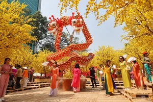 Ho Chi Minh City's Vibrant Apricot Blossom Garden: A Tet Tradition - image 10