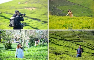Cau Dat Tea Hill: From French Colonial Estate to Dalat's Top Check-In Destination - image 2