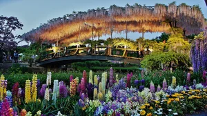 Capture the Moment: 10 Most Photogenic Locations Around the World - image 7