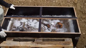 Unveiling the Secrets of a 1,350-Year-Old Warrior Prince's Ancient Tomb - image 9
