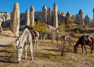 The Enigmatic Fairy Chimneys of Cappadocia: Turkey’s Surreal Geological Wonder - image 2