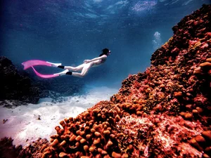 Actress from 'Love and Ambition' Shows Off Figure Scuba Diving - image 1