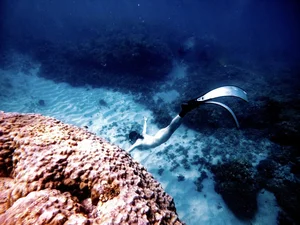 Actress from 'Love and Ambition' Shows Off Figure Scuba Diving - image 2