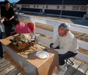Kiviak: The Extreme Fermented Delicacy of Greenland's Inuit Culture - image 1