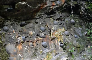 The Mysterious Mountain That 'Lays Eggs' Every 30 Years: What Do Experts Say? - image 6