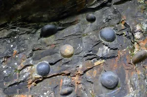 The Mysterious Mountain That 'Lays Eggs' Every 30 Years: What Do Experts Say? - image 4