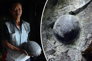 The Mysterious Mountain That 'Lays Eggs' Every 30 Years: What Do Experts Say? - image 7