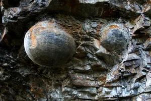 The Mysterious Mountain That 'Lays Eggs' Every 30 Years: What Do Experts Say? - image 0