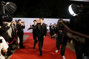 Star-Studded Red Carpet: Celebrities Shine at the DANAFF IV Opening Ceremony - image 10