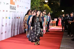 Star-Studded Red Carpet: Celebrities Shine at the DANAFF IV Opening Ceremony - image 19