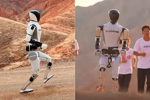 Advanced Chinese Robots Clinking Glasses and Picking Up Dumplings Stun the World - image 0