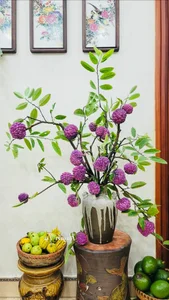 The Rare Purple Custard Apple: Discover Why This Exotic Fruit Commands High Prices - image 1