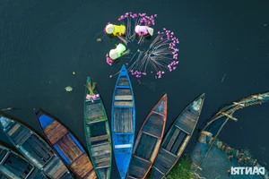 Discover the Untouched Beauty of Bai Say Song Dam in Quang Nam - image 7