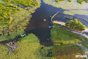 Discover the Untouched Beauty of Bai Say Song Dam in Quang Nam - image 11