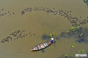 Discover the Untouched Beauty of Bai Say Song Dam in Quang Nam - image 4