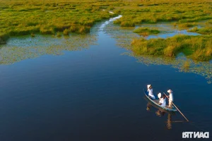 Discover the Untouched Beauty of Bai Say Song Dam in Quang Nam - image 3