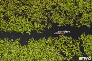 Discover the Untouched Beauty of Bai Say Song Dam in Quang Nam - image 2