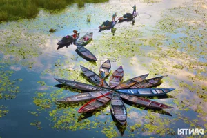 Discover the Untouched Beauty of Bai Say Song Dam in Quang Nam - image 6