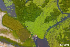 Discover the Untouched Beauty of Bai Say Song Dam in Quang Nam - image 8