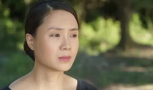 The Stunning Beauty Evolution of Vietnamese Actress Hong Diem Over the Last Decade - image 0
